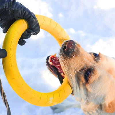 Jouet Anneau de Traction pour Chien Moyen et Grand