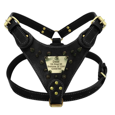 Collier Cuir Clouté Personnalisé Gros Chien Pitbull Mastiff