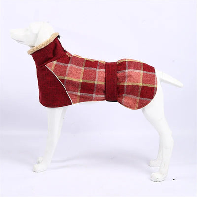 Manteau Carreaux Réfléchissant Hiver Gros Chien