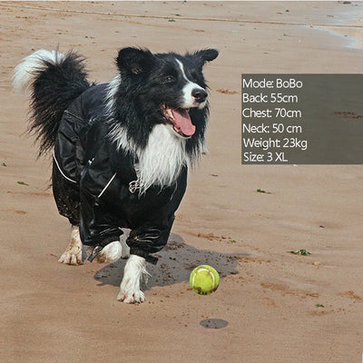 Manteau Imperméable Combinaison Intégrale Col Haut Border Collie