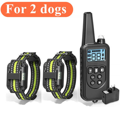 Collier Électrique de Dressage 800 m Nylon Rechargeable Chien