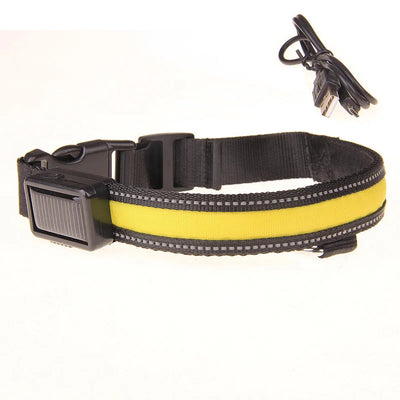 Collier Lumineux LED Solaire et USB Réfléchissant Chien