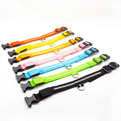 Collier Lumineux LED Étanche pour Chien
