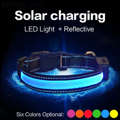 Collier Lumineux LED Solaire et USB Réfléchissant Chien