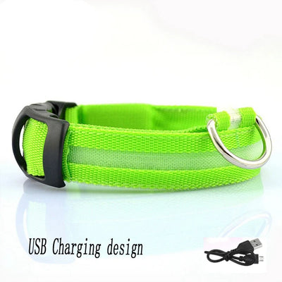 Collier Lumineux LED Étanche pour Chien