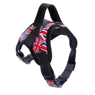 https://cdn.shopify.com/s/files/1/0489/2898/1148/files/HTB1.Mlbg7yWBuNjy0Fpq6yssXXaN.webp?v=1742985464