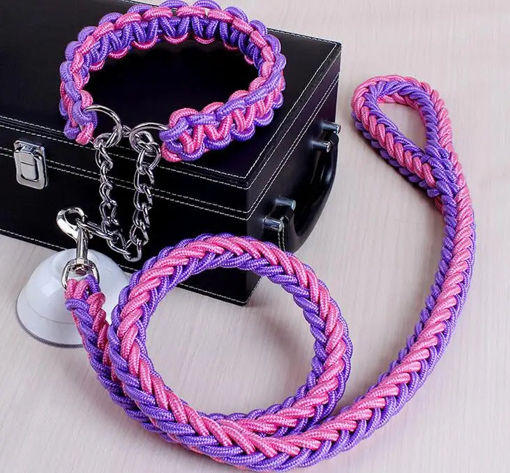COLLIER + LAISSE "PURPLE & PINK ARMY" - Gros-Chien.com