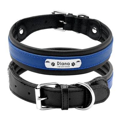Collier Personnalisé Cuir Rembourré Plaque d'Identification Grand Chien