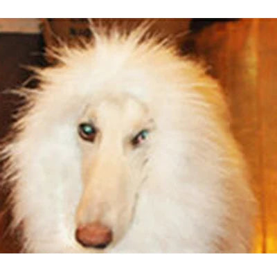 Perruque Crinière Gros Chien Costume Déguisement