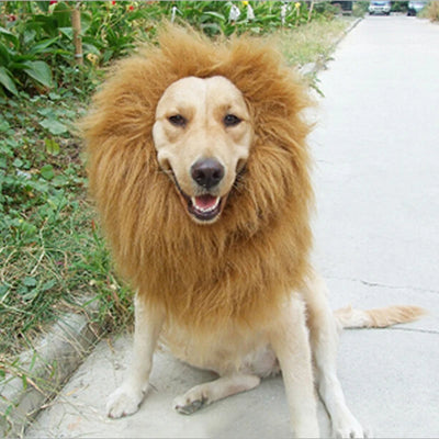Perruque Crinière Gros Chien Costume Déguisement