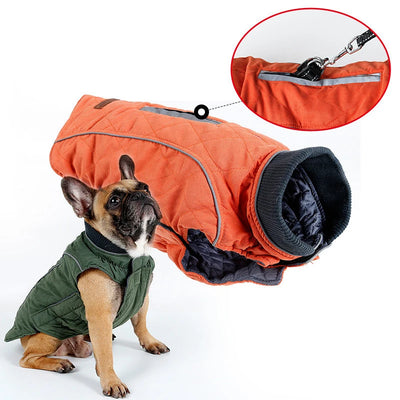 Manteau Rétro Matelassé Col Côtelé Grand Chien