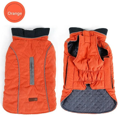 Manteau Rétro Matelassé Col Côtelé Grand Chien