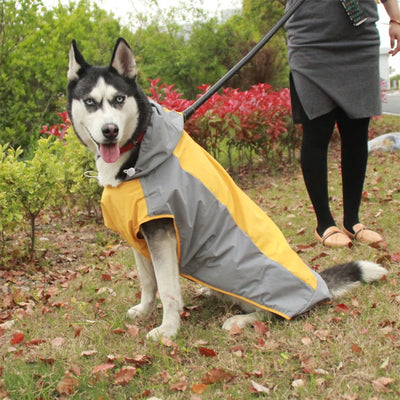 Manteau Imperméable Poncho Maille Respirante Grand Chien