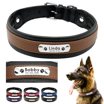 Collier Personnalisé Cuir Rembourré Plaque d'Identification Grand Chien