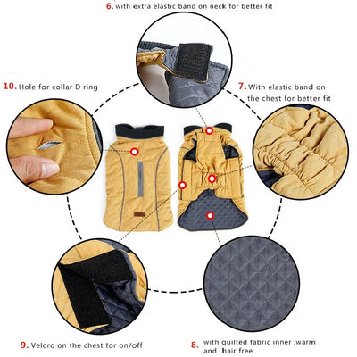 Manteau Rétro Matelassé Col Côtelé Grand Chien