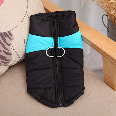 Doudoune Imperméable Chien Zippée Double Anneau en D