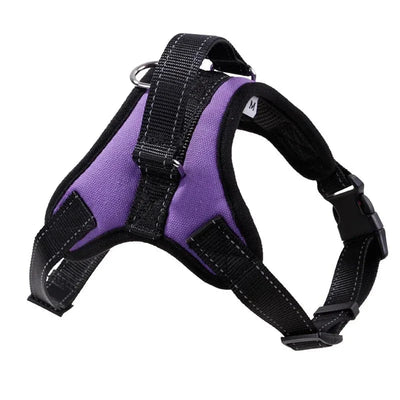 https://cdn.shopify.com/s/files/1/0489/2898/1148/files/HTB1Ogxig21TBuNjy0Fjq6yjyXXaq.webp?v=1742985481