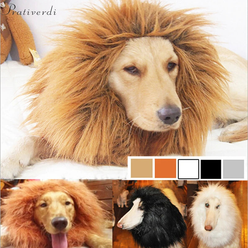 Perruque Crinière Gros Chien Costume Déguisement