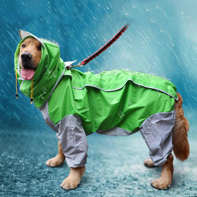 Manteau Imperméable Grand Chien Combinaison Visière 2XL à 6XL