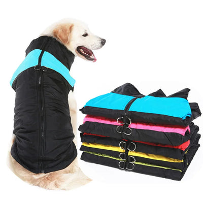Doudoune Imperméable Chien Zippée Double Anneau en D