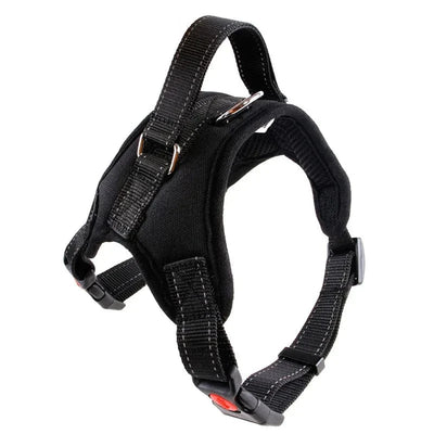 https://cdn.shopify.com/s/files/1/0489/2898/1148/files/HTB1WRUCgHSYBuNjSspiq6xNzpXaI.webp?v=1742985409