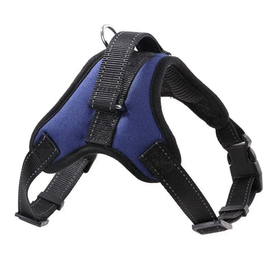https://cdn.shopify.com/s/files/1/0489/2898/1148/files/HTB1eAn1bRmWBuNkSndVq6AsApXa3.webp?v=1742985458