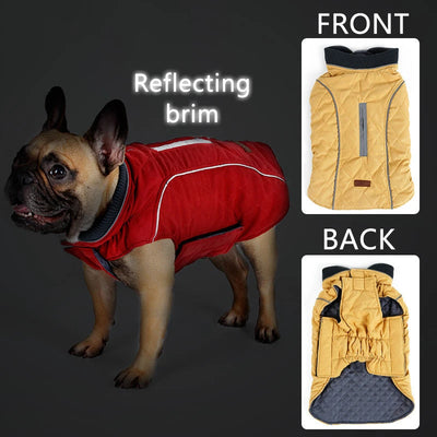 Manteau Rétro Matelassé Col Côtelé Grand Chien