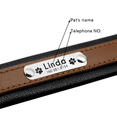 Collier Personnalisé Cuir Rembourré Plaque d'Identification Grand Chien