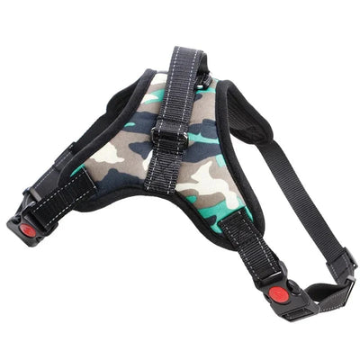 https://cdn.shopify.com/s/files/1/0489/2898/1148/files/HTB1ie0ig21TBuNjy0Fjq6yjyXXaY.webp?v=1742985445