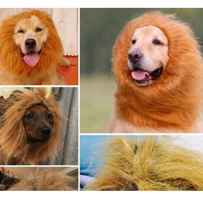 Perruque Crinière Gros Chien Costume Déguisement