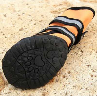 Bottes Imperméables Oxford Réfléchissantes Gros Chien