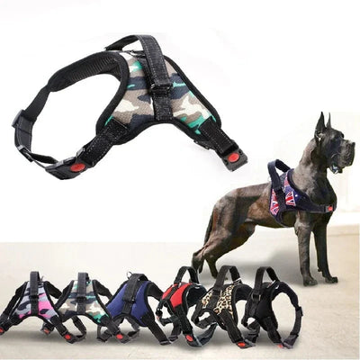 https://cdn.shopify.com/s/files/1/0489/2898/1148/files/HTB1l5s1gQOWBuNjSsppq6xPgpXaj.webp?v=1742985476
