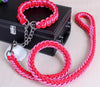 COLLIER + LAISSE "RED & PINK ARMY" - Gros-Chien.com