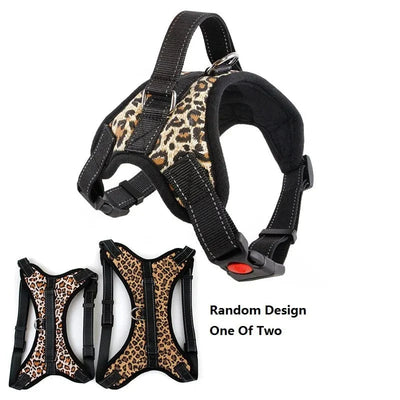 https://cdn.shopify.com/s/files/1/0489/2898/1148/files/HTB1sFJtgYSYBuNjSspfq6AZCpXaN.webp?v=1742985452