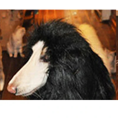 Perruque Crinière Gros Chien Costume Déguisement