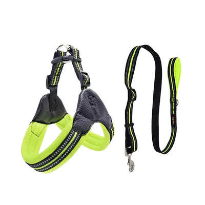 https://cdn.shopify.com/s/files/1/0489/2898/1148/files/Ha147480f582544dd8e2507d1e8c946c6D.webp?v=1742985703