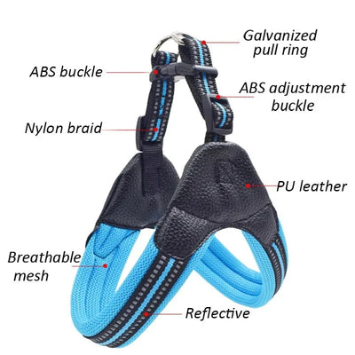 https://cdn.shopify.com/s/files/1/0489/2898/1148/files/Ha4e1eb5ad51a448bbbf9a695c2b6c5cc2.webp?v=1742985698