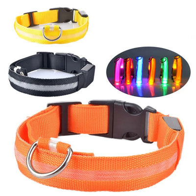 Collier Lumineux LED Étanche pour Chien