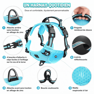 https://cdn.shopify.com/s/files/1/0763/9767/4819/files/Harnais-en-h-accessoire.png?v=1770392227