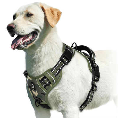 https://cdn.shopify.com/s/files/1/0763/9767/4819/files/Harnais-en-h-militaire.png?v=1770392228
