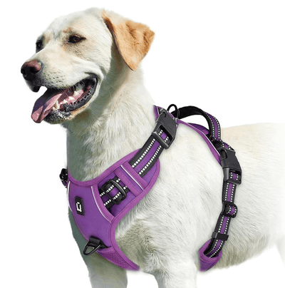 https://cdn.shopify.com/s/files/1/0763/9767/4819/files/Harnais-en-h-violet.png?v=1770392306