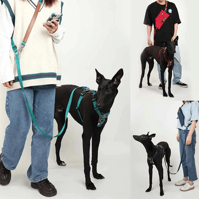 https://cdn.shopify.com/s/files/1/0763/9767/4819/files/Harnais_Resistant_pour_chien_chiots.png?v=1769185372