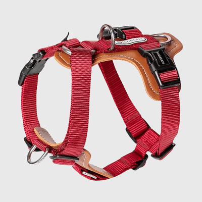 https://cdn.shopify.com/s/files/1/0763/9767/4819/files/Harnais_Resistant_pour_chien_rouge.png?v=1769185372