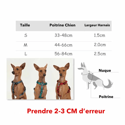 https://cdn.shopify.com/s/files/1/0763/9767/4819/files/Harnais_Resistant_pour_chien_taille.png?v=1769185372