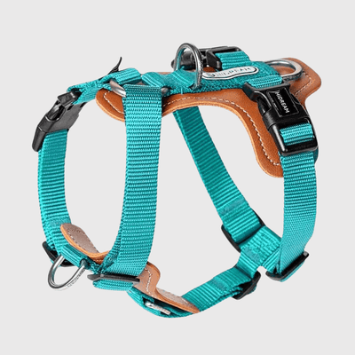 https://cdn.shopify.com/s/files/1/0763/9767/4819/files/Harnais_Resistant_pour_chien_vert.png?v=1769185372