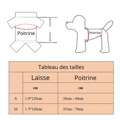 https://cdn.shopify.com/s/files/1/0763/9767/4819/files/Harnais_a_froufrou_pour_chien_taille.png?v=1701363252