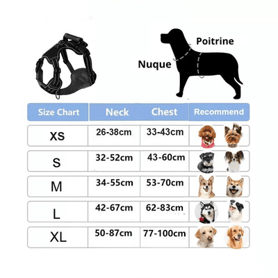 https://cdn.shopify.com/s/files/1/0763/9767/4819/files/Harnais_anti_traction_en_T_Taille.png?v=1749047810