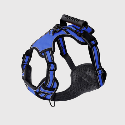 https://cdn.shopify.com/s/files/1/0763/9767/4819/files/Harnais_anti_traction_en_T_bleu.png?v=1749047810
