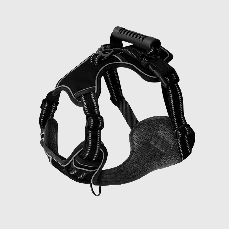 https://cdn.shopify.com/s/files/1/0763/9767/4819/files/Harnais_anti-traction_en_T_pour_chien_labrador.png?v=1749047850