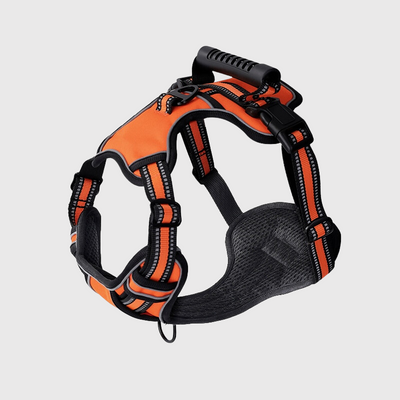 https://cdn.shopify.com/s/files/1/0763/9767/4819/files/Harnais_anti_traction_en_T_orange.png?v=1749047810